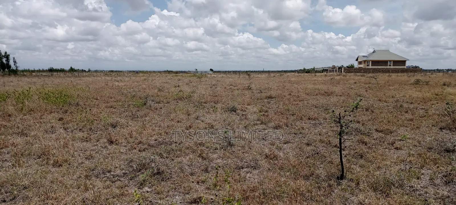Vacant Plot for Sale at Malaa