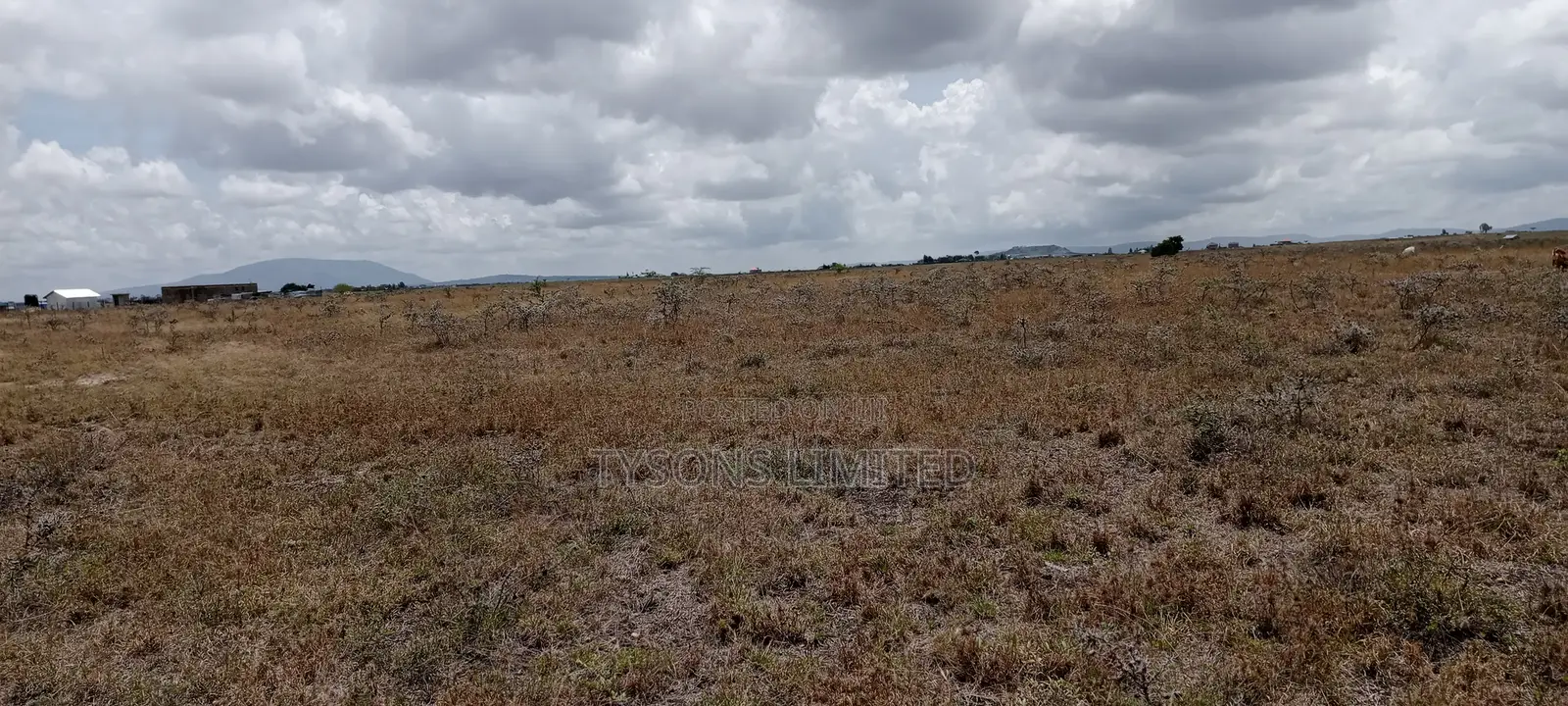 Vacant Plot for Sale at Malaa