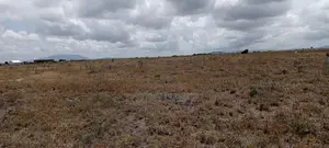 Vacant Plot for Sale at Malaa