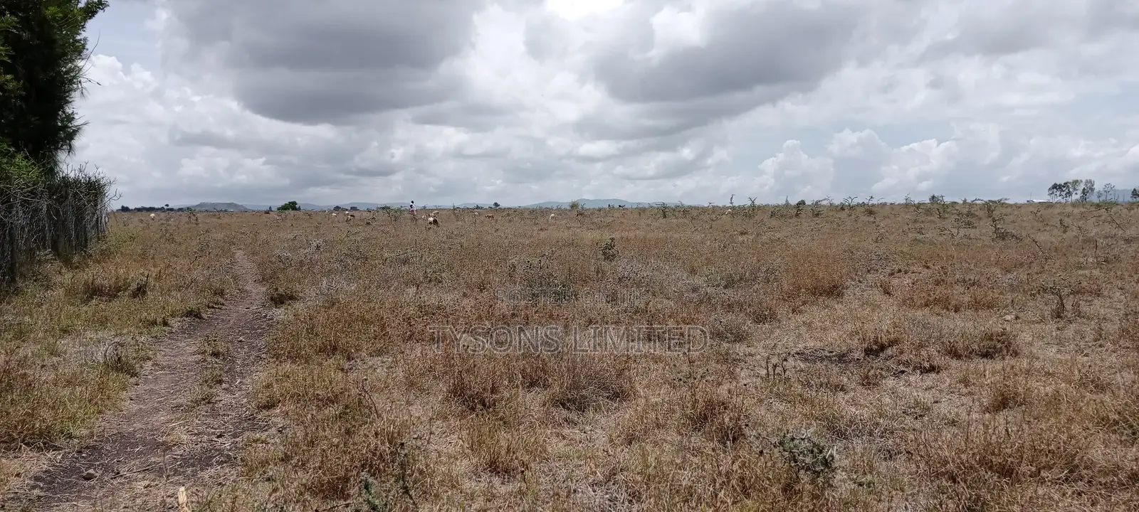 Vacant Plot for Sale at Malaa