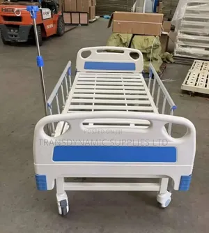 Imported Ward Bed