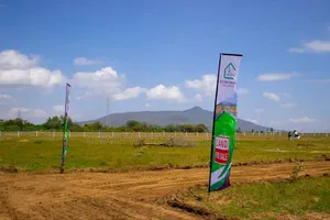 1.3km From Tarmac , Longonot View Phase 5