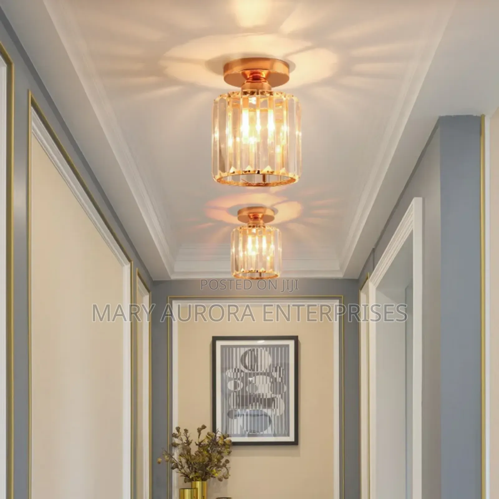 Led Ceiling Light