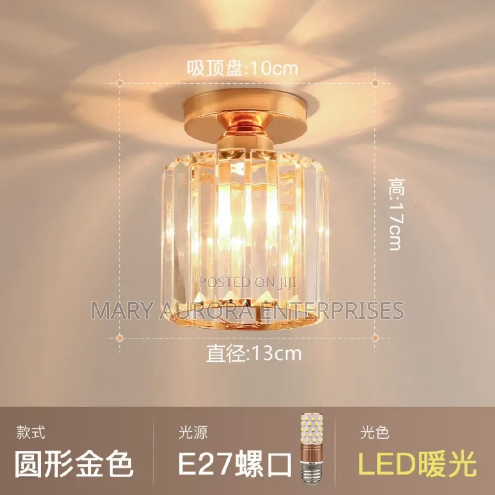 Led Ceiling Light
