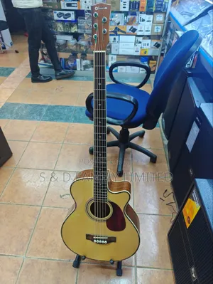 5 String Bass Semi-Acoustic Guitar