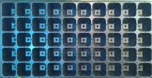Nursery Tray