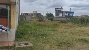 Murera, Ndarasha 40x60 Plot.