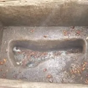 Affordable Rates for Fumigation Pest Control