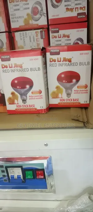 Infrared Bulb For Chicks Light