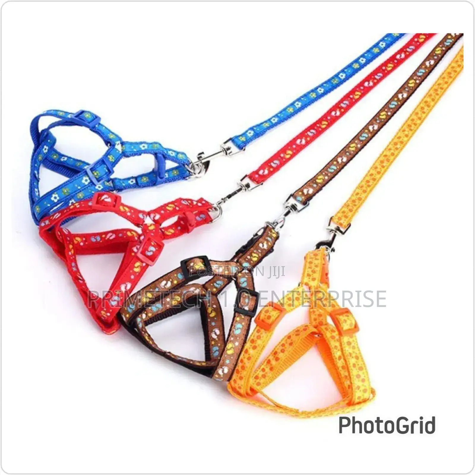 Chiwawa Dog Leashes