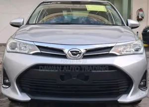 Toyota Axio 2019 Silver