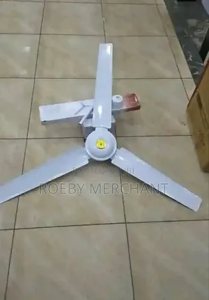 Powerful New Ceiling Fan