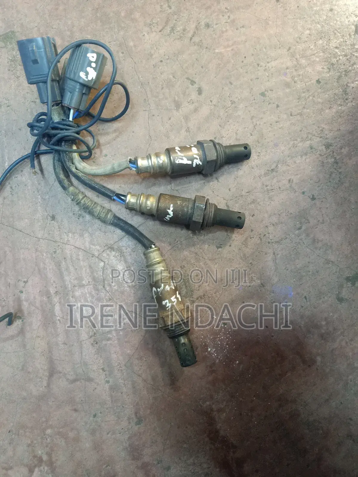 Prado 120 Oxygen Sensors