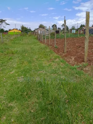 1⁄4 (100 by 100) Murengeti