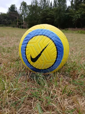 New Nike Flight Premier League Ball 2025