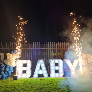 Gender Reveal Set Up Hire
