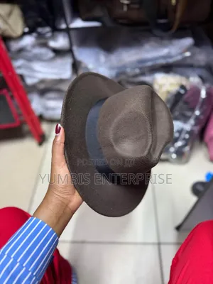 Brown Quality Fedora Hats at 700