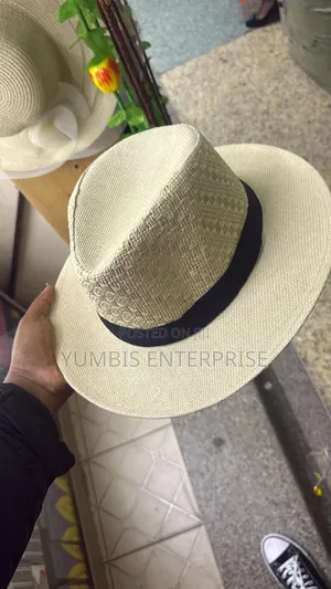 Men's Panama Hat at 800