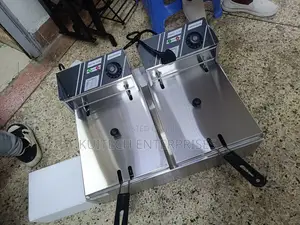 Electric 6l + 6l Deep Fryer/Electric Chips Fryer
