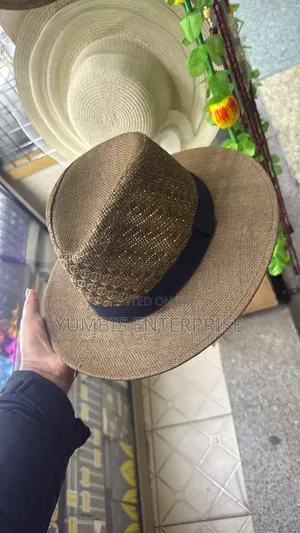 Dark Brown, Light Brown Panama Hats for Men at 800