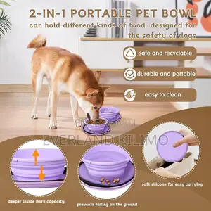 Compartment Non-Slip Dog Cat Dish for Travel
