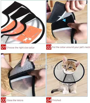 Flexible Plastic Cone for Dogs After Surgery