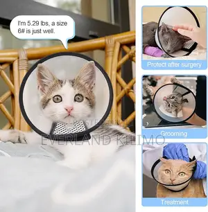 Elizabethan Cone Collar Prevent Licking Wounds