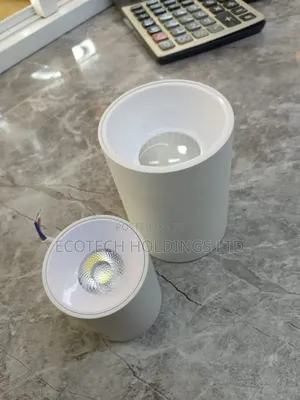 20wts Cob Stand Alone Spotlight.