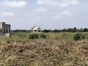 Residential Plot for Sale 5 Km From Kiambu Road Kirigiti