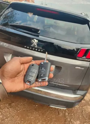Peugeot Key Programming Specialist 