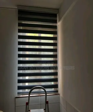 Roller Zebra Blinds