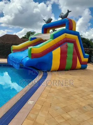 Dolphin Water Slide to Pool – Splash Fun for Kids!