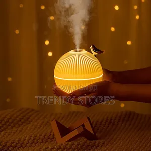 Air Humidifier