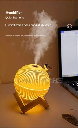 Air Humidifier