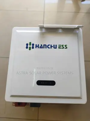 Hanchu Ess 2.56kwh 24v Lithium Battery