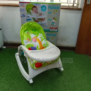 Newborn to Toddler Rocker