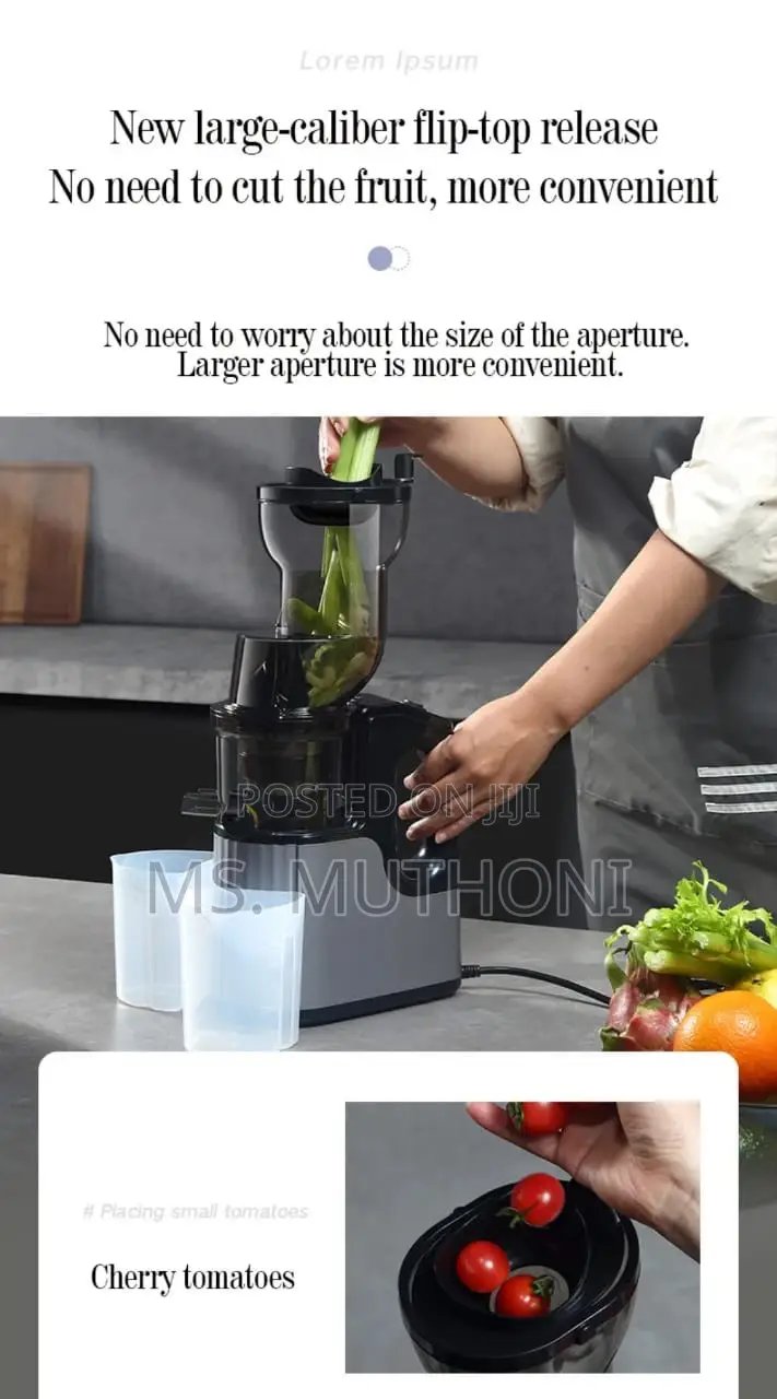 Quality New Design Slow Juicer