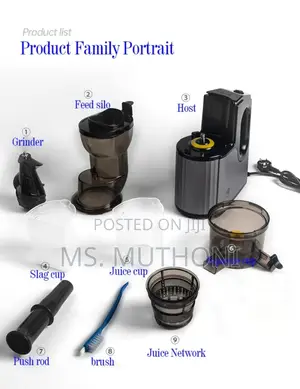 Quality New Design Slow Juicer