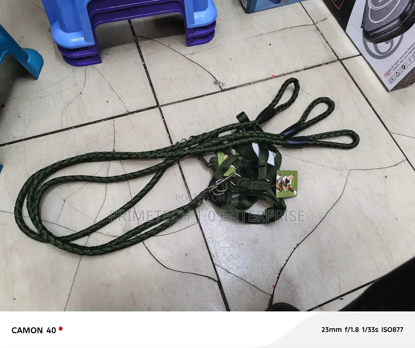 Dog Leash and Harness