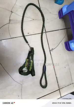 Small Sized Dog -Dog Leash