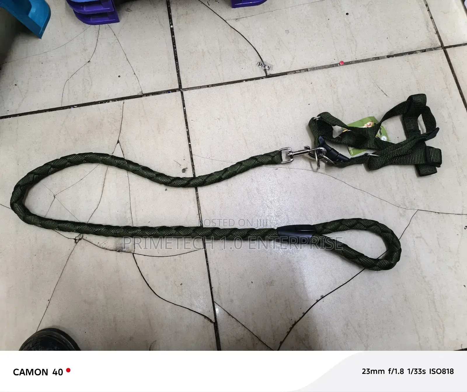 Medium Size Dogleash and Harness