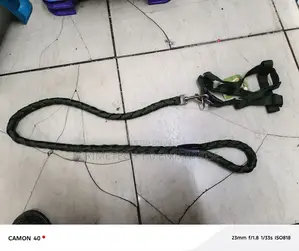 Medium Size Dogleash and Harness