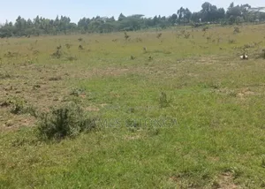 Fertile Farm Land for Sale in Ndaragwa Nyandarua County
