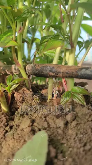 Dripline, 0.4mm 20cm