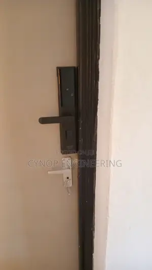 Wifi Smart Home Locks