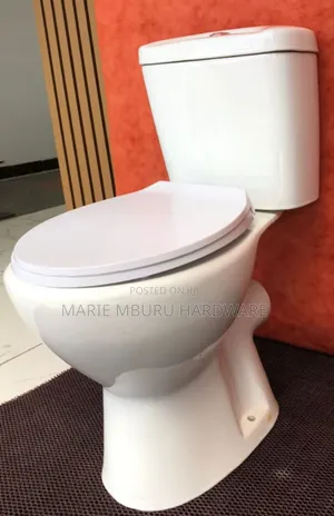 Blossom Toilet (Two Pieces)
