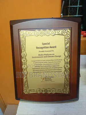 Wooden Awards