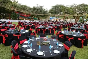 Dressed Chairs for Hire With Spandex