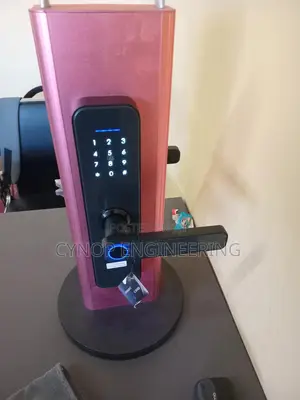Biometric Smart Locks With Rfid Access