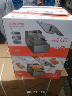 Globalstar Gs81a 6l Electric Stainless Body Deep Fryer
